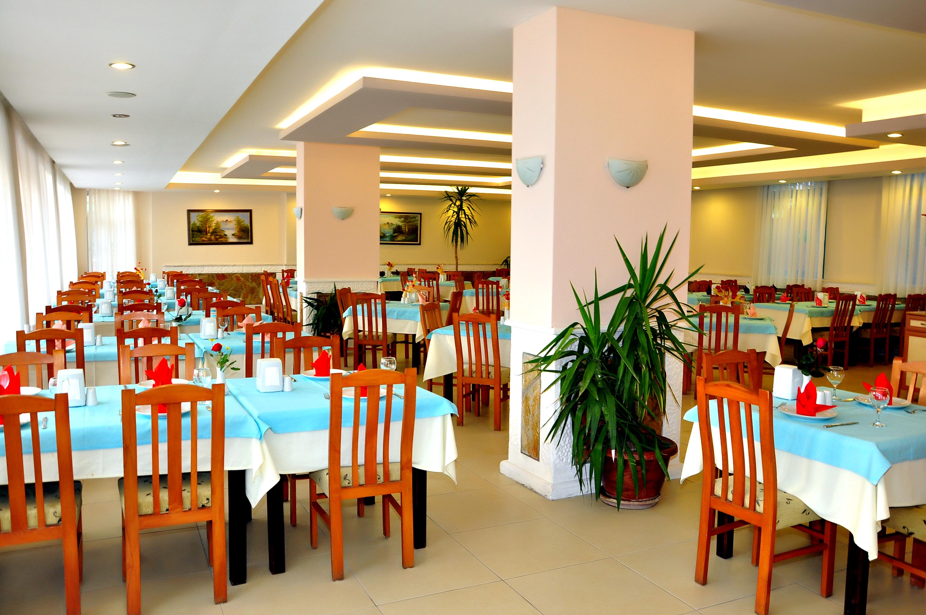 Cinar family suite ex cinar garden apart. Cinar Family Suite Стамбул. Cinar Family Suite Hotel.